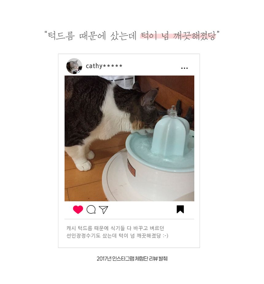 프로젝트21 선인장 정수기 젠에디션 15번째