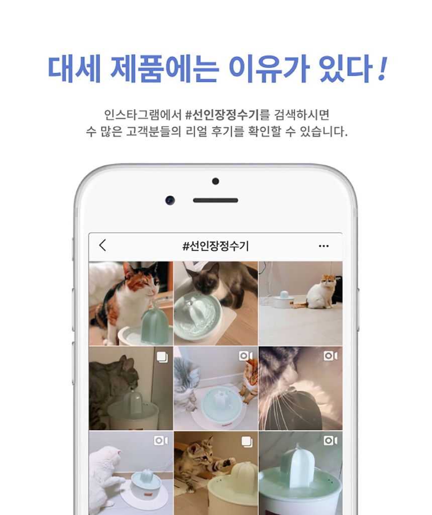 프로젝트21 선인장 정수기 젠에디션 3번째