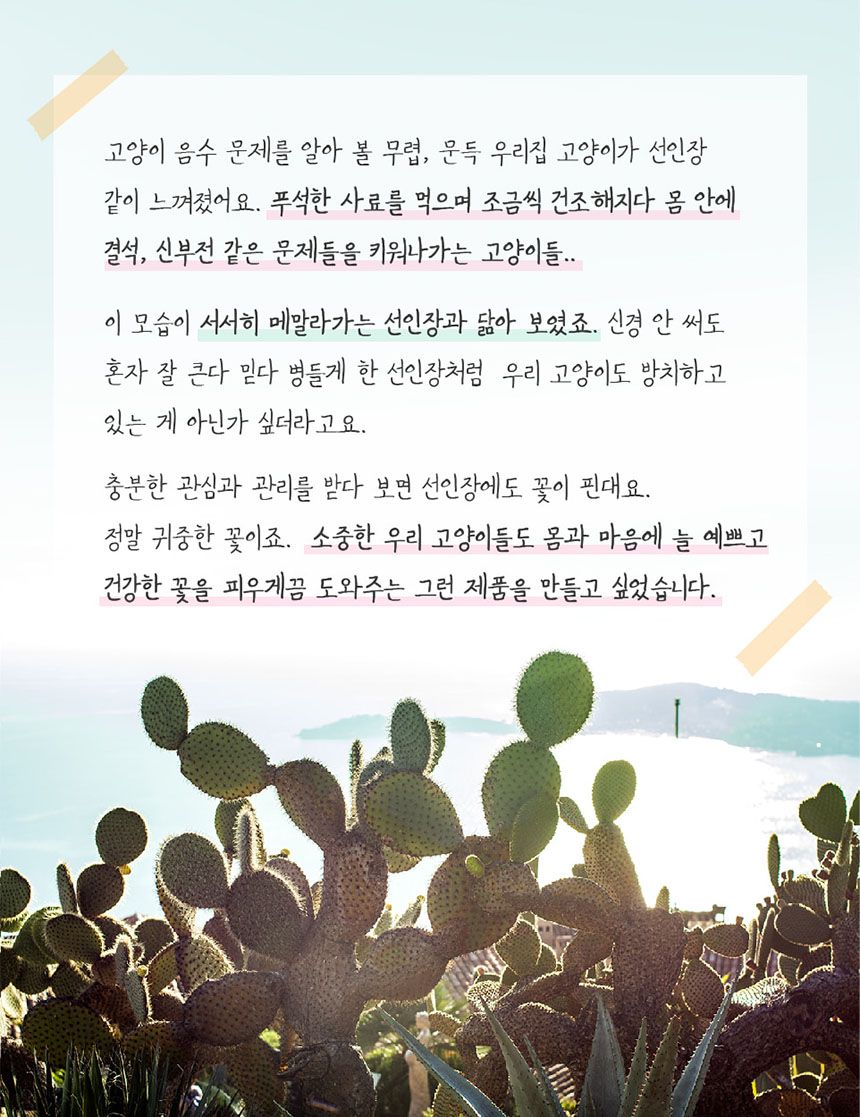 프로젝트21 선인장 정수기 젠에디션 26번째