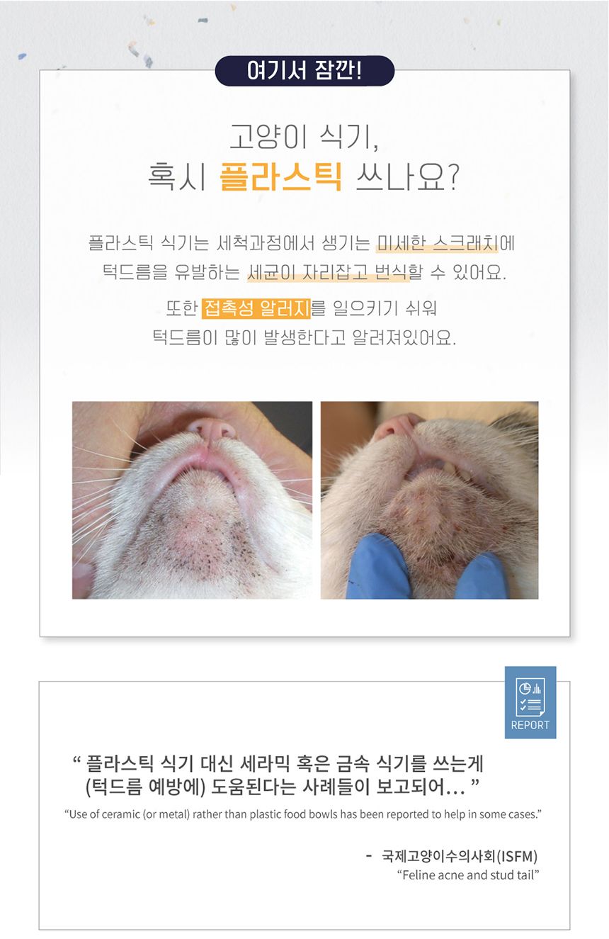 프로젝트21 선인장 정수기 젠에디션 14번째