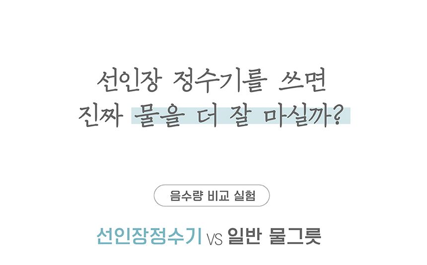 프로젝트21 선인장 정수기 젠에디션 5번째