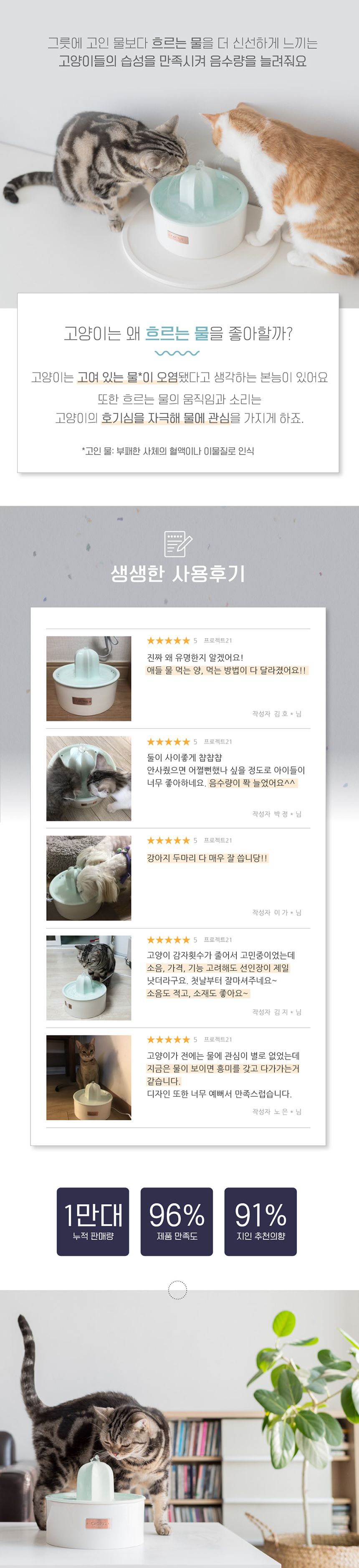 프로젝트21 선인장 정수기 젠에디션 11번째