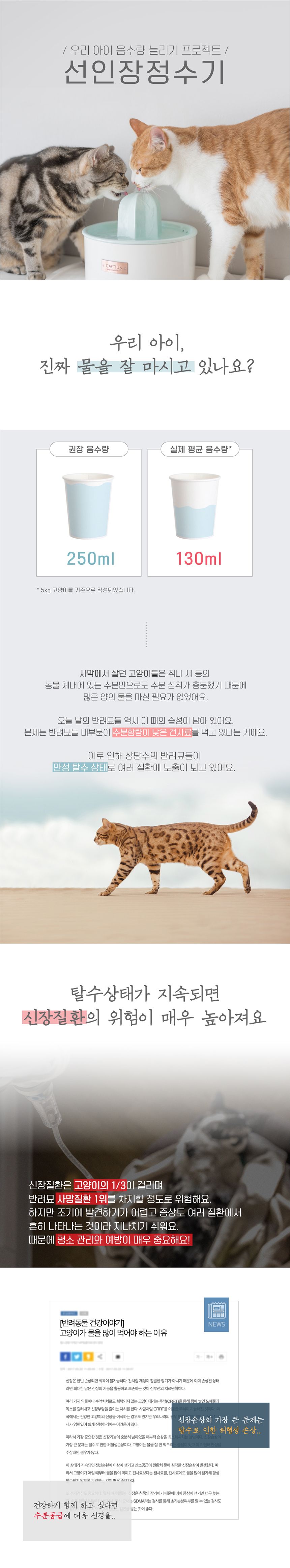 프로젝트21 선인장 정수기 젠에디션 7번째