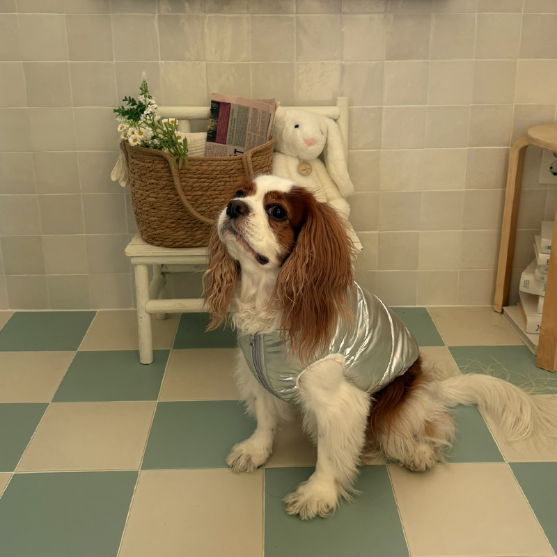 [NEW신상][무료배송] 해피댕댕 글로시패딩 3종 (화이트,핑크,실버) S-XL 7번째