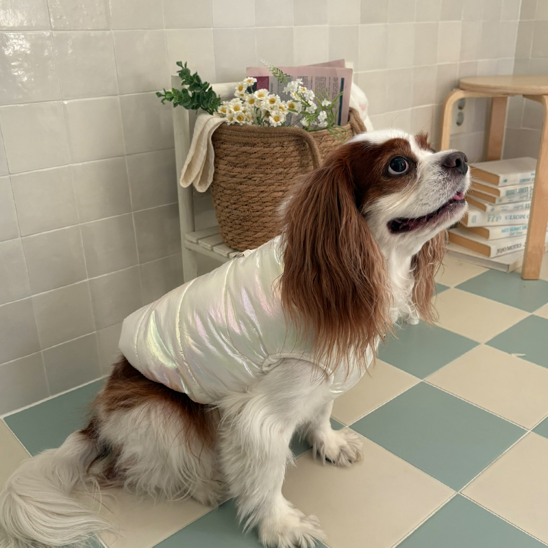 [NEW신상][무료배송] 해피댕댕 글로시패딩 3종 (화이트,핑크,실버) S-XL 17번째