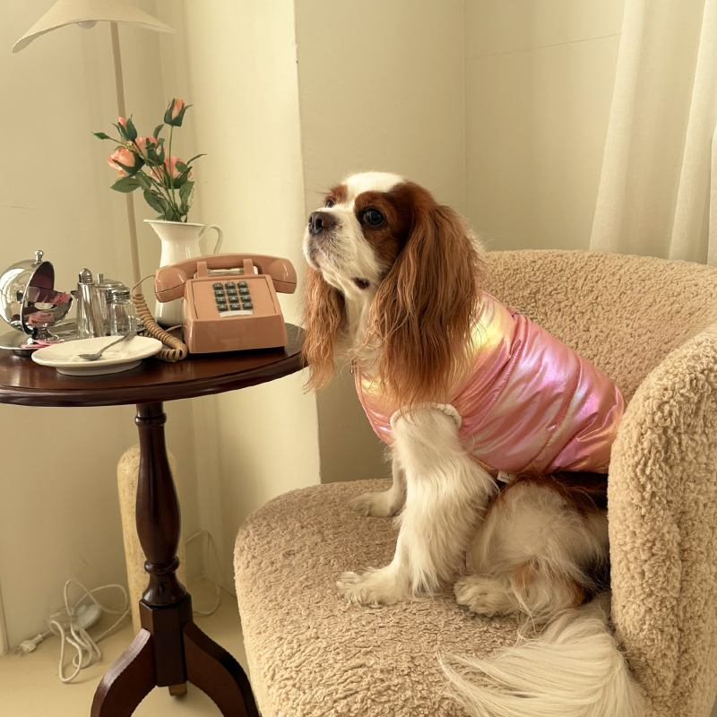 [NEW신상][무료배송] 해피댕댕 글로시패딩 3종 (화이트,핑크,실버) S-XL 12번째