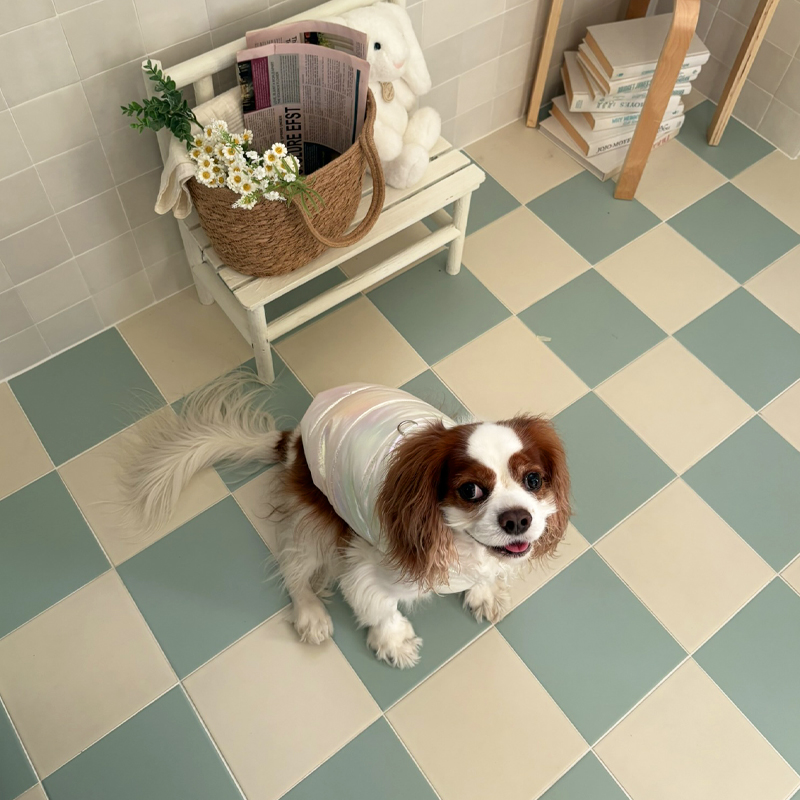 [NEW신상][무료배송] 해피댕댕 글로시패딩 3종 (화이트,핑크,실버) S-XL 19번째