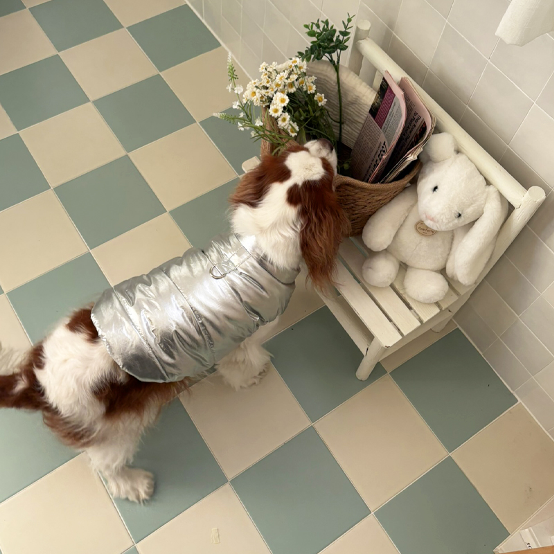 [NEW신상][무료배송] 해피댕댕 글로시패딩 3종 (화이트,핑크,실버) S-XL 9번째