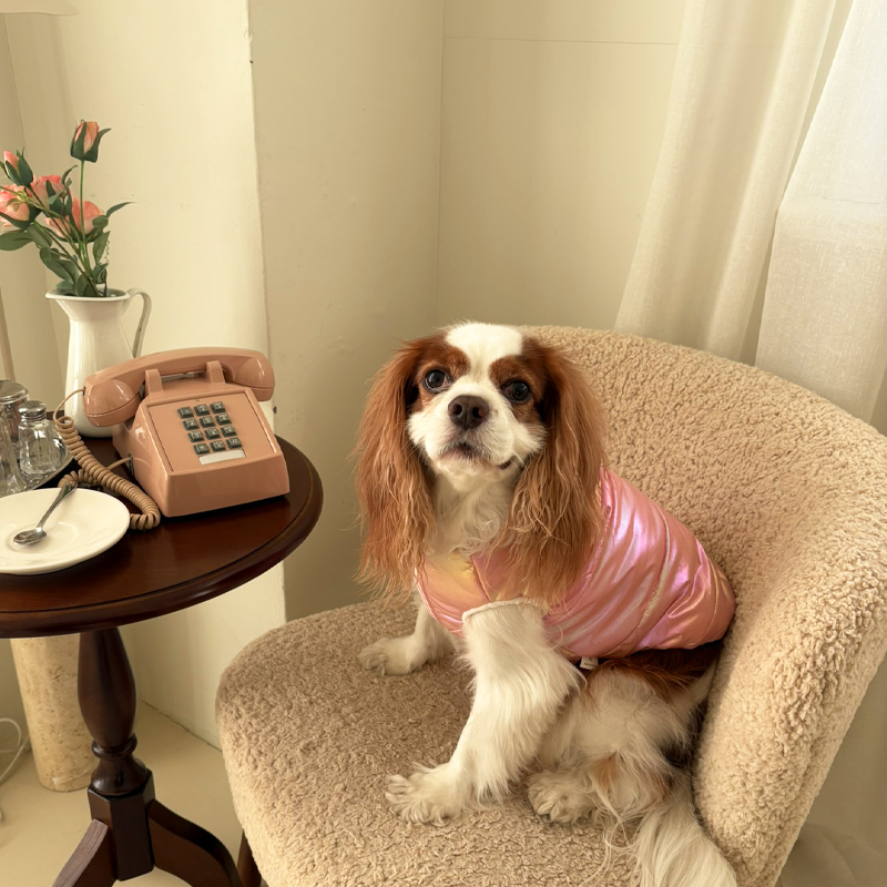 [NEW신상][무료배송] 해피댕댕 글로시패딩 3종 (화이트,핑크,실버) S-XL 14번째