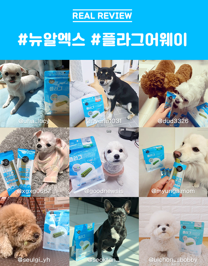 [NEW신상][무료배송] 뉴알엑스 기능성 덴탈껌 플라그어웨이 M 80P (880g) 4번째