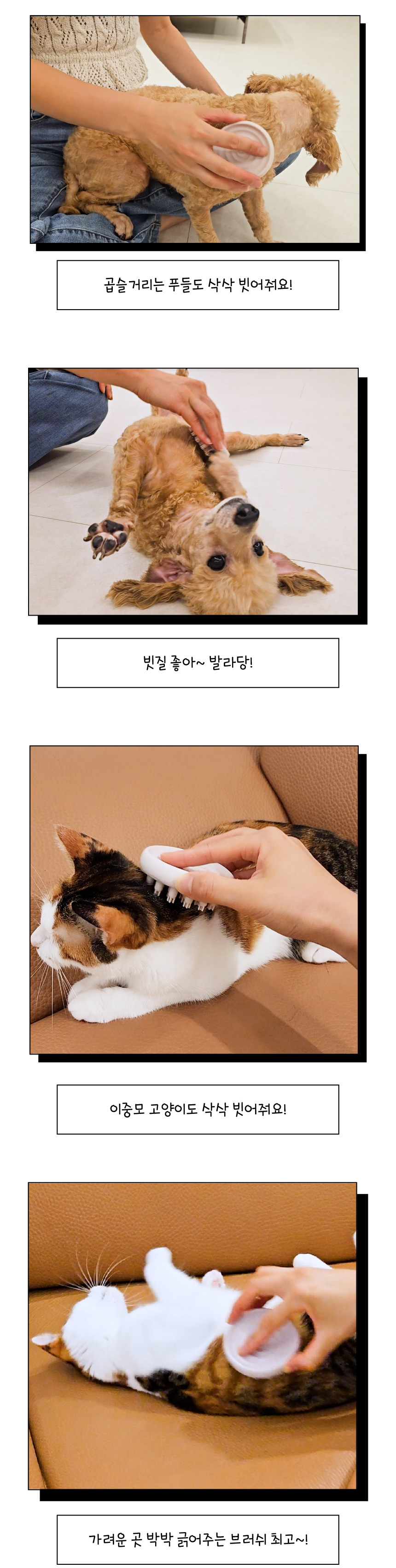 [무료배송] 애구애구 저자극 마사지 목욕솔 샤워 브러쉬 6번째