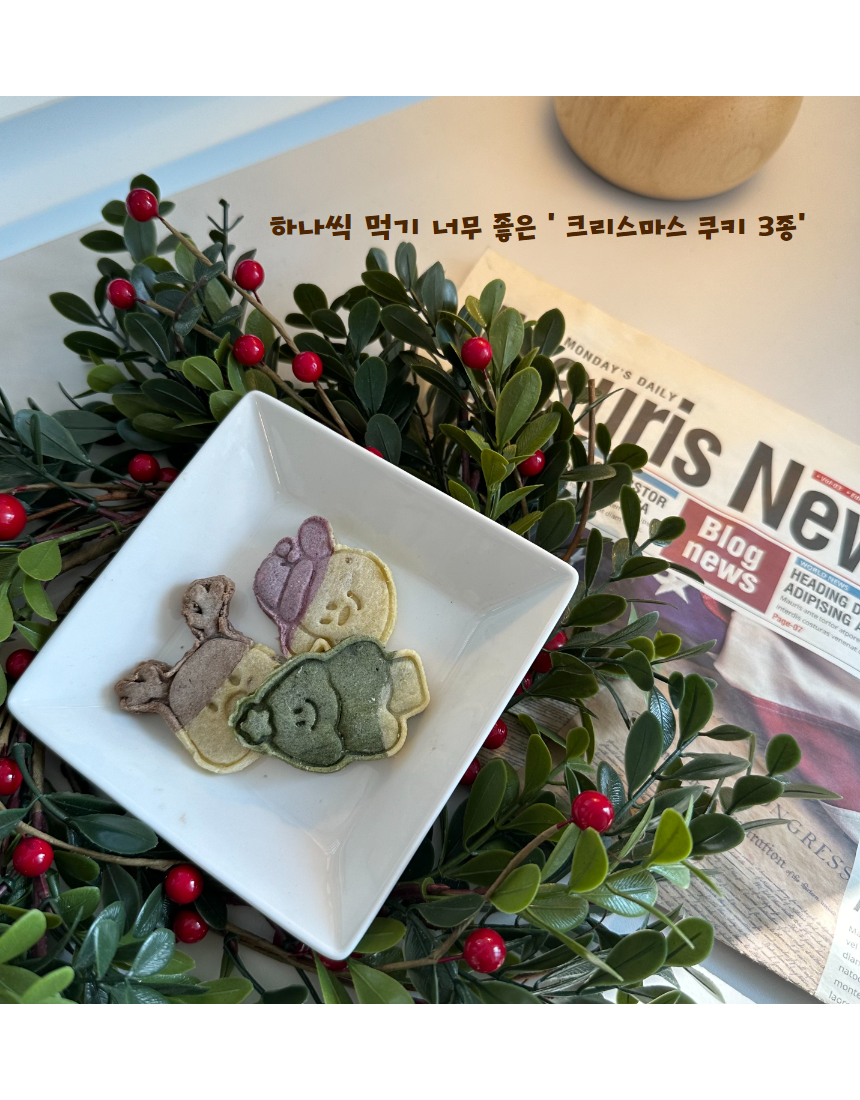 [무료배송] 오간식 독 크리스마스 간식 패키지 18번째