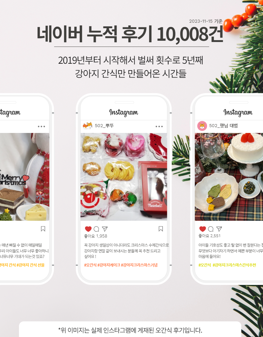 [무료배송] 오간식 독 크리스마스 간식 패키지 27번째