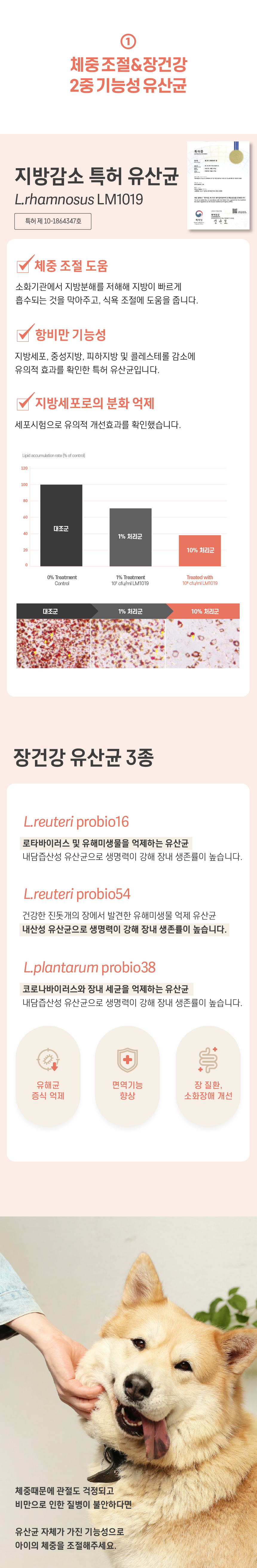 [무료배송] 빌리스벳 체중조절 프로바이오틱스 D 30g 3번째