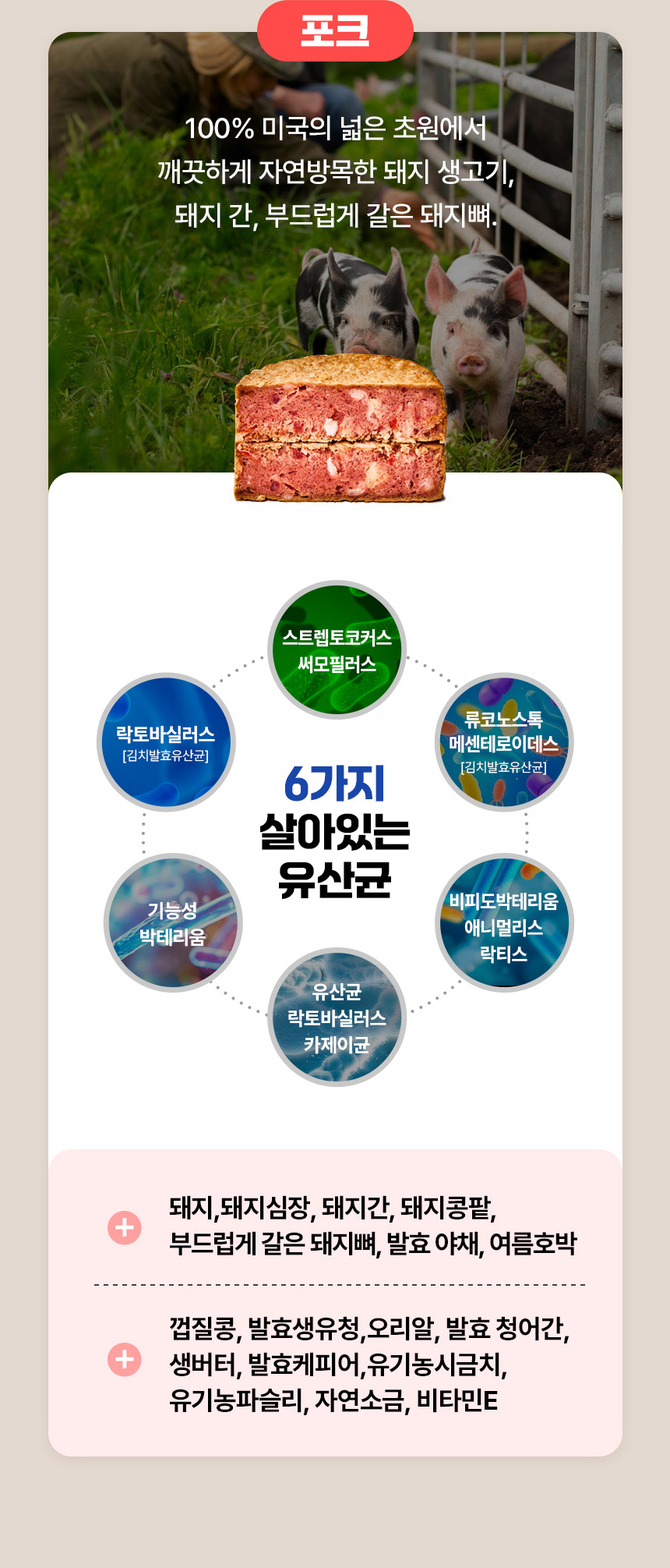 [NEW신상][무료배송] 앤서스펫푸드 포크 발효화식 디테일드 포뮬러 1kg 15번째