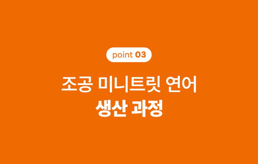 [NEW신상]조공 미니트릿 연어 75g 19번째