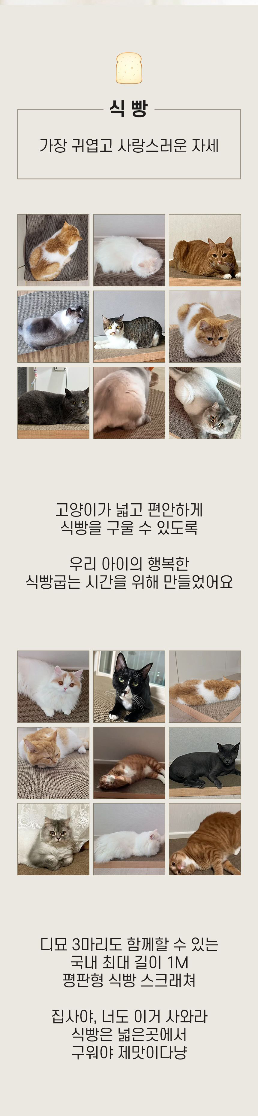 [NEW신상][무료배송] 탑펫코리아 집사야, 너도 이거 사와라 식빵 스크래쳐 2번째