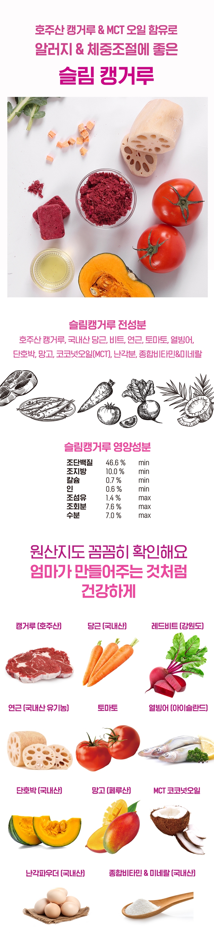 [무료배송] 알로키친 슬림캥거루 (캥거루&MCT) 4g*40p 4번째