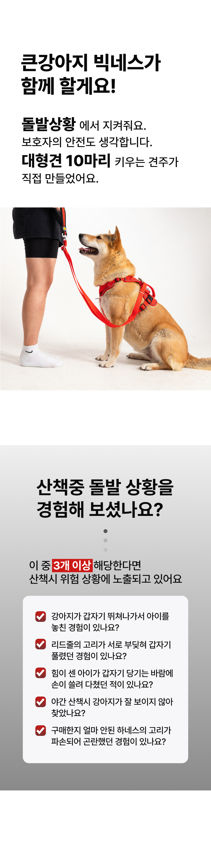 [NEW신상][무료배송] 큰강아지 빅네스 앞섬방지 하네스 가슴줄 H형 (M-XL) 5번째