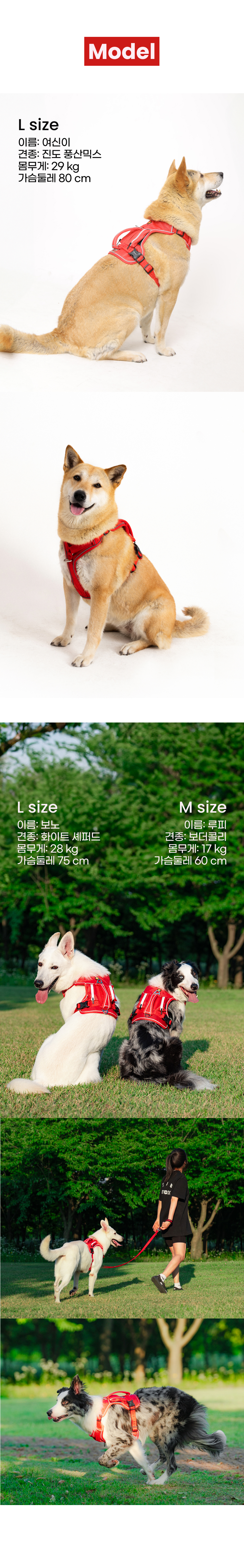 [NEW신상][무료배송] 큰강아지 빅네스 앞섬방지 하네스 가슴줄 H형 (M-XL) 19번째