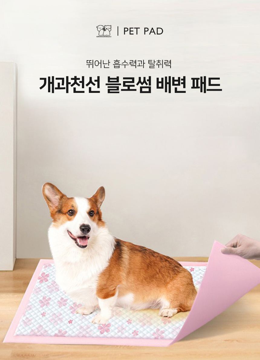 [NEW신상][무료배송] 개과천선 독 블로썸 배변패드 (S/M/L/XL) 1번째