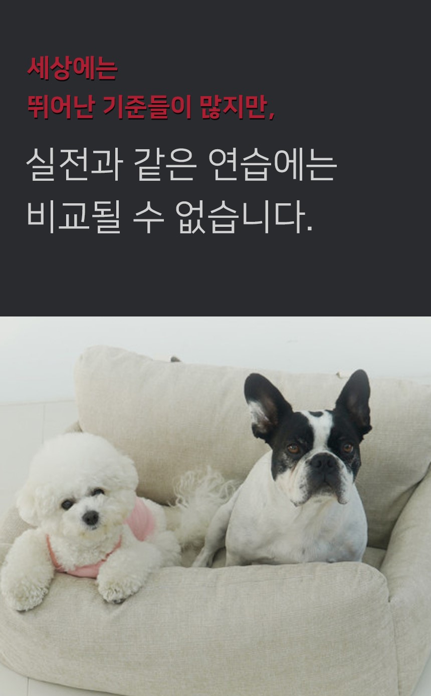 [NEW신상][무료배송] 개과천선 독 다견용 범퍼 카시트 (베이지/그레이) 10번째