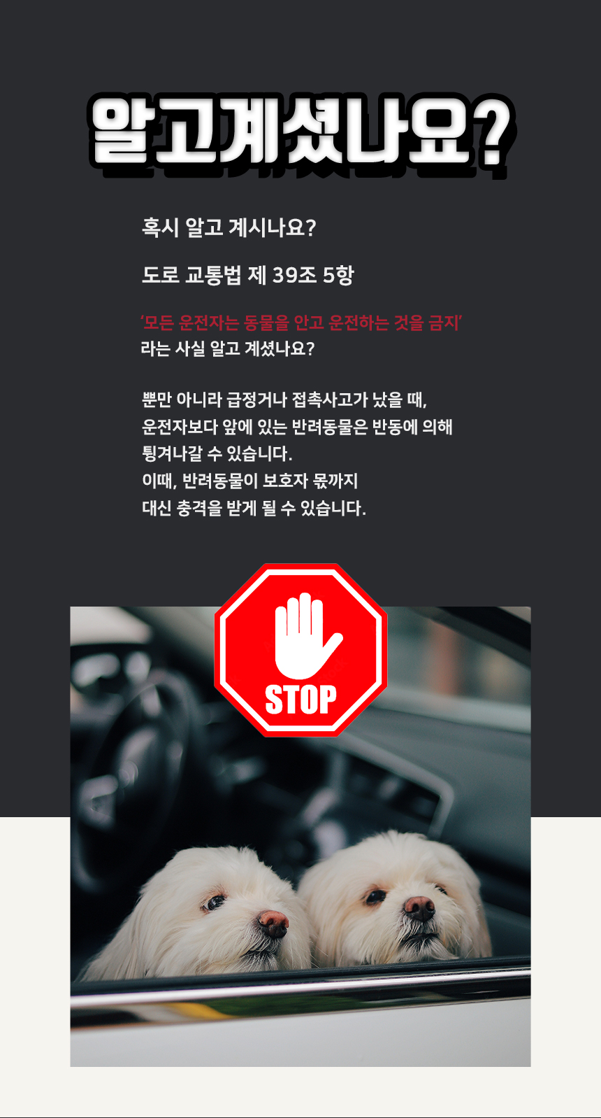 [NEW신상][무료배송] 개과천선 독 다견용 범퍼 카시트 (베이지/그레이) 9번째
