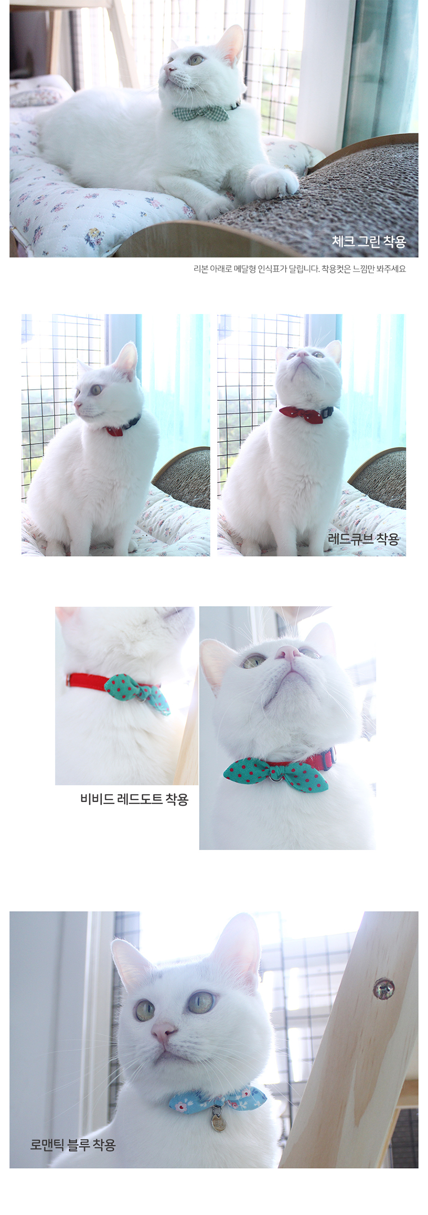 [무료배송] 레인보우스토리 꼬마리본 인식표 15컬러 9번째