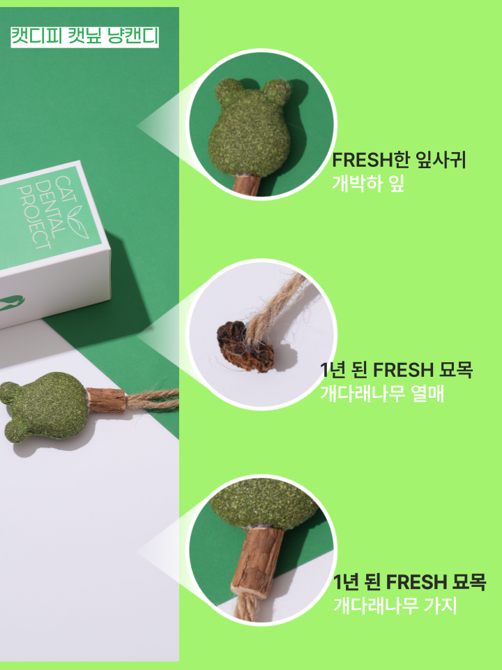 [무료배송] 캣디피 캣닢 마따따비 5종세트 해피박스 35번째