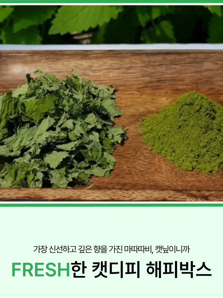 [무료배송] 캣디피 캣닢 마따따비 5종세트 해피박스 23번째