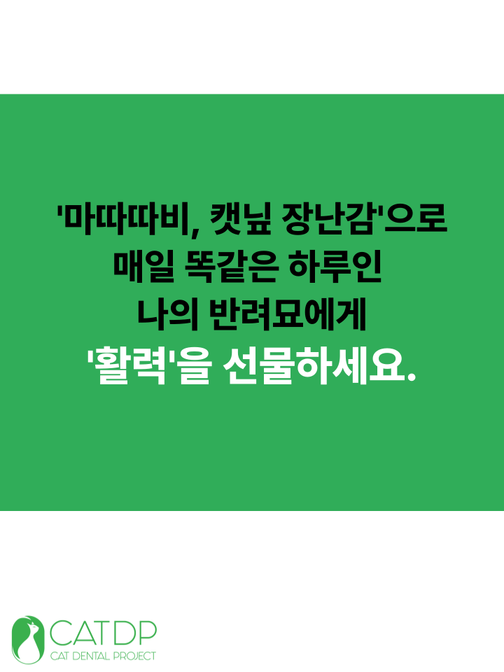 [무료배송] 캣디피 캣닢 마따따비 5종세트 해피박스 3번째