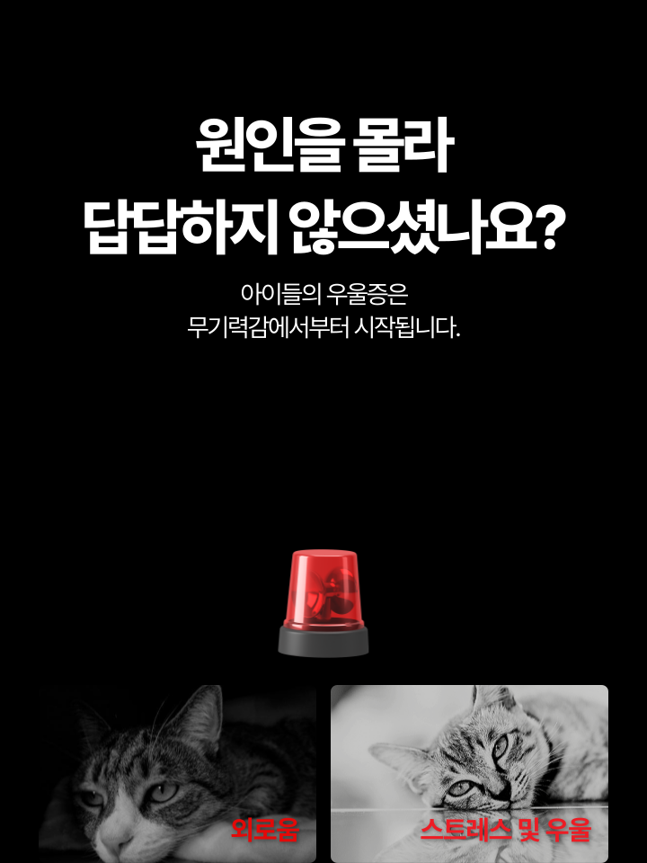 [무료배송] 캣디피 캣닢 마따따비 5종세트 해피박스 9번째