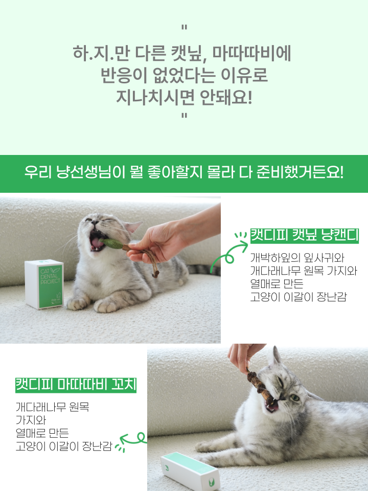 [무료배송] 캣디피 캣닢 마따따비 5종세트 해피박스 30번째