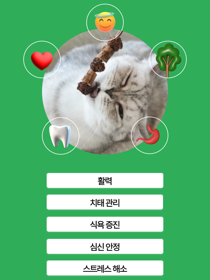 [무료배송] 캣디피 캣닢 마따따비 5종세트 해피박스 45번째