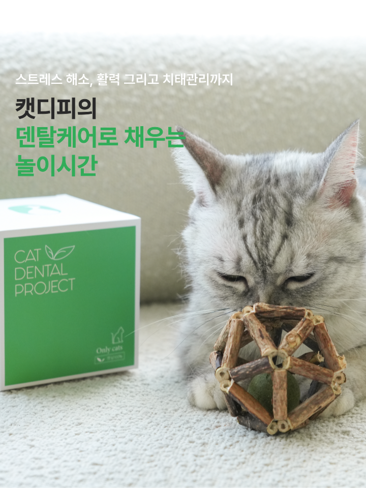 [무료배송] 캣디피 캣닢 마따따비 5종세트 해피박스 18번째