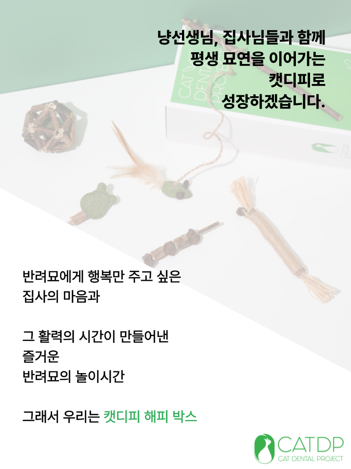 [무료배송] 캣디피 캣닢 마따따비 5종세트 해피박스 52번째