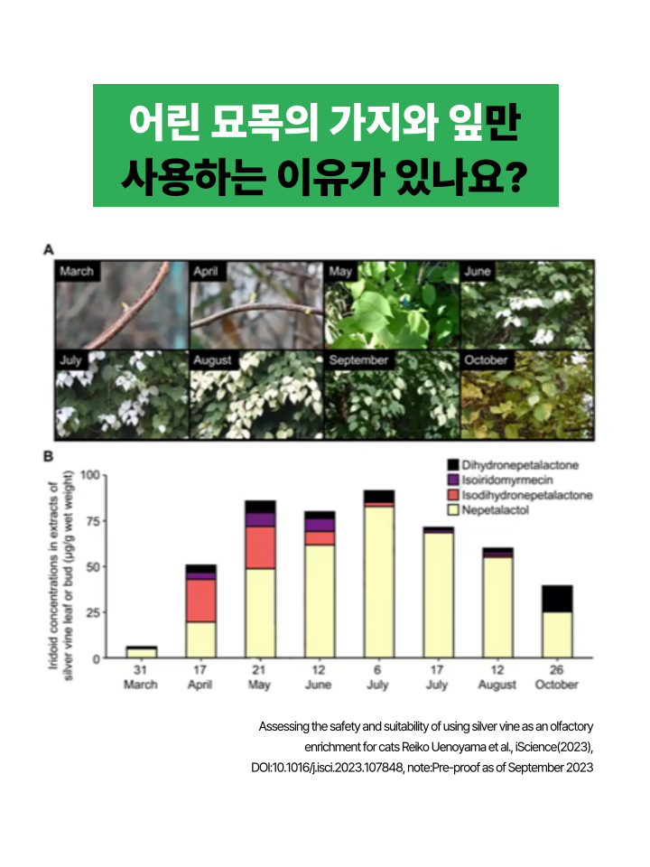 [무료배송] 캣디피 캣닢 마따따비 5종세트 해피박스 28번째