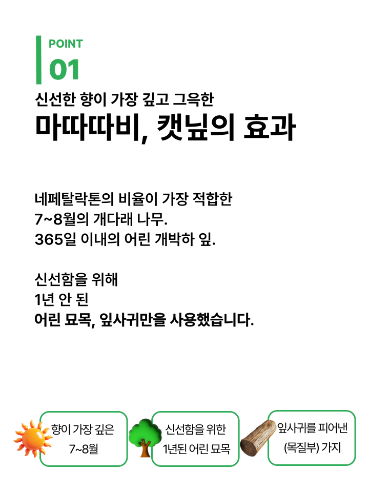 [무료배송] 캣디피 캣닢 마따따비 5종세트 해피박스 26번째