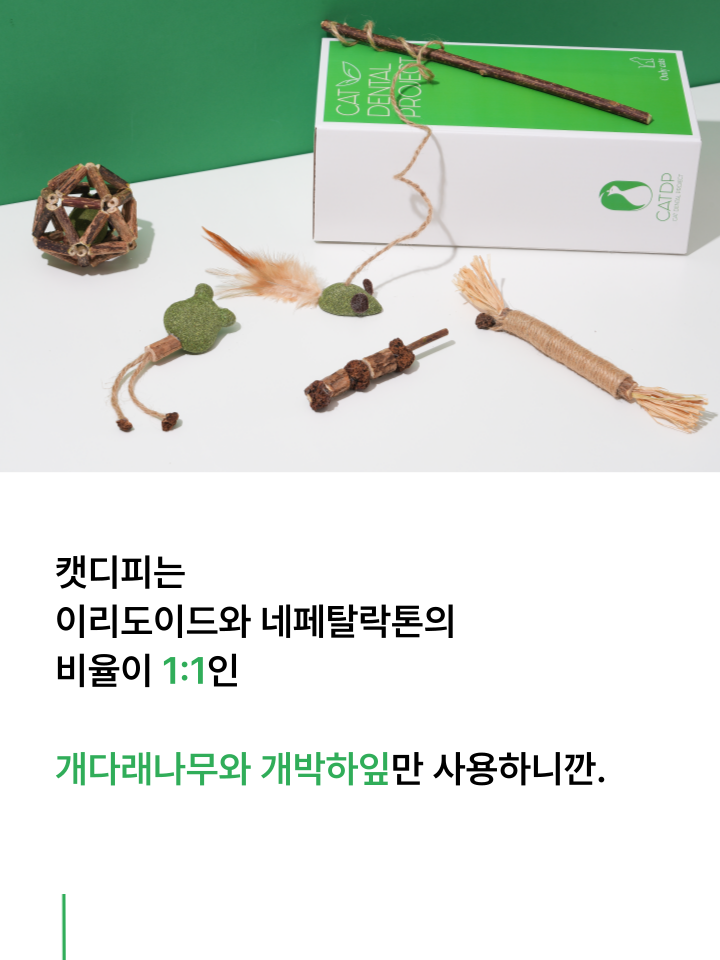 [무료배송] 캣디피 캣닢 마따따비 5종세트 해피박스 32번째