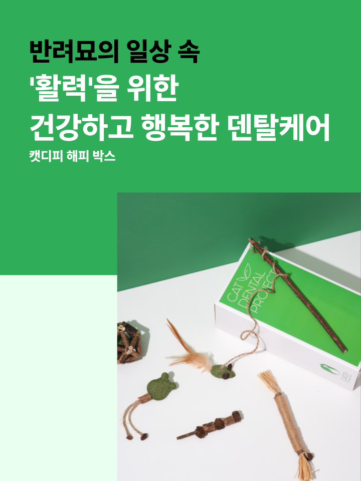 [무료배송] 캣디피 캣닢 마따따비 5종세트 해피박스 48번째