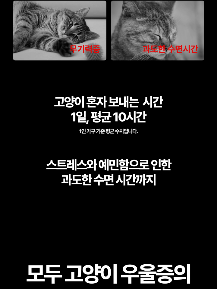 [무료배송] 캣디피 캣닢 마따따비 5종세트 해피박스 10번째