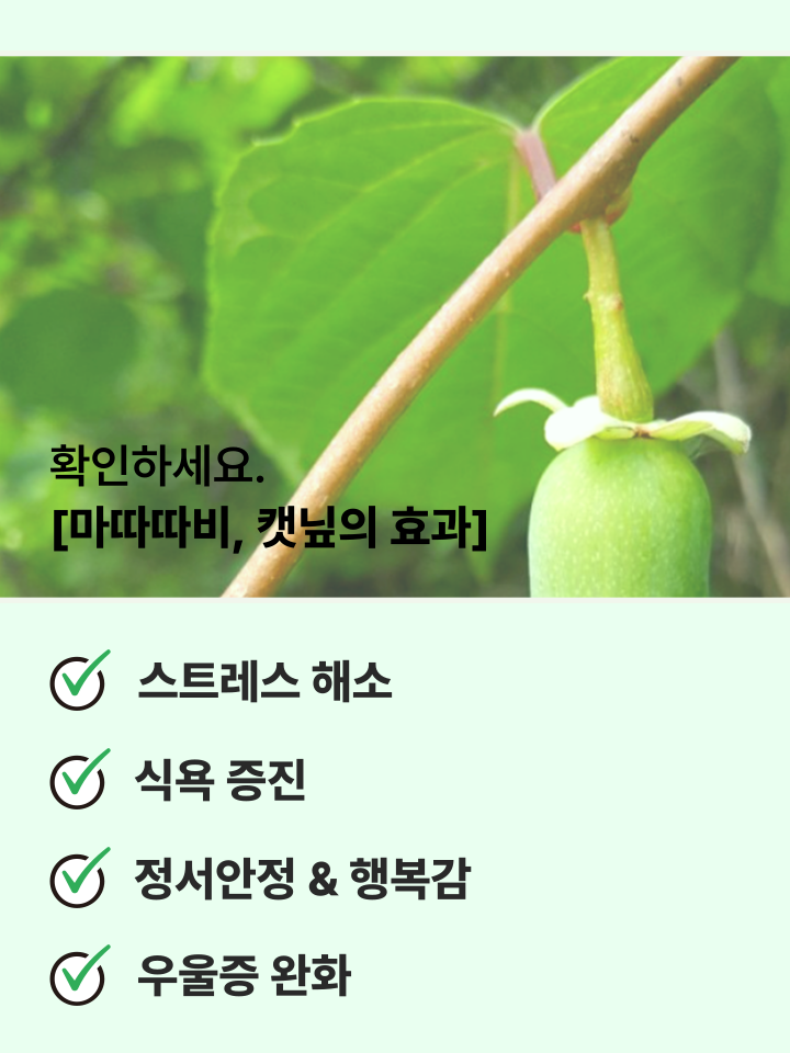 [무료배송] 캣디피 캣닢 마따따비 5종세트 해피박스 21번째