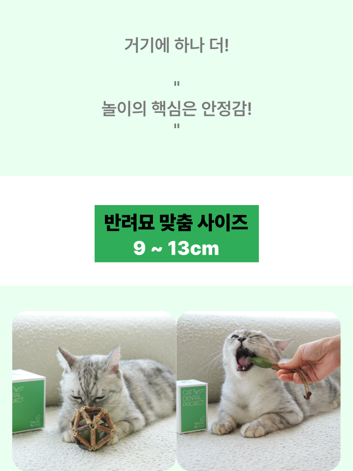 [무료배송] 캣디피 캣닢 마따따비 5종세트 해피박스 40번째