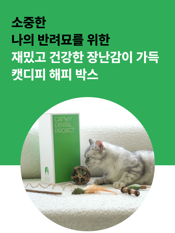 [무료배송] 캣디피 캣닢 마따따비 5종세트 해피박스 2번째