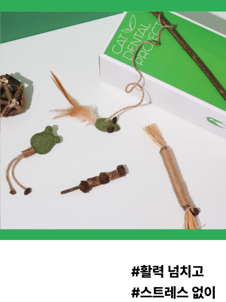 [무료배송] 캣디피 캣닢 마따따비 5종세트 해피박스 4번째