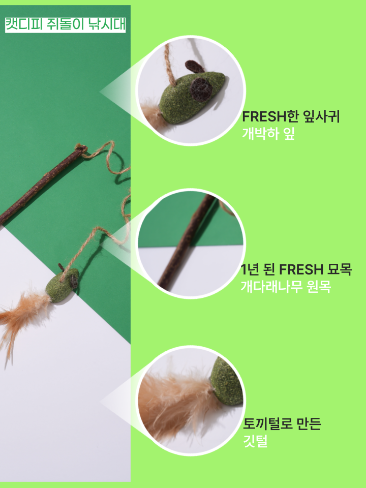 [무료배송] 캣디피 캣닢 마따따비 5종세트 해피박스 38번째