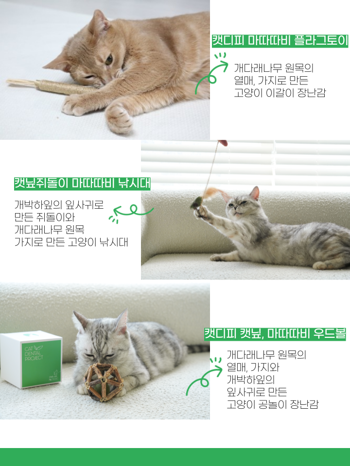 [무료배송] 캣디피 캣닢 마따따비 5종세트 해피박스 31번째