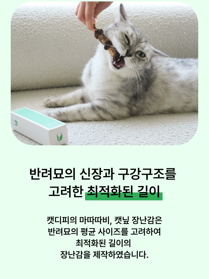 [무료배송] 캣디피 캣닢 마따따비 5종세트 해피박스 41번째