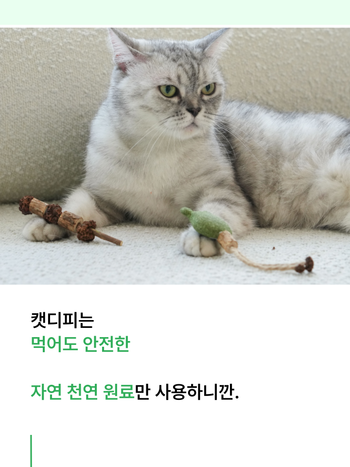 [무료배송] 캣디피 캣닢 마따따비 5종세트 해피박스 42번째