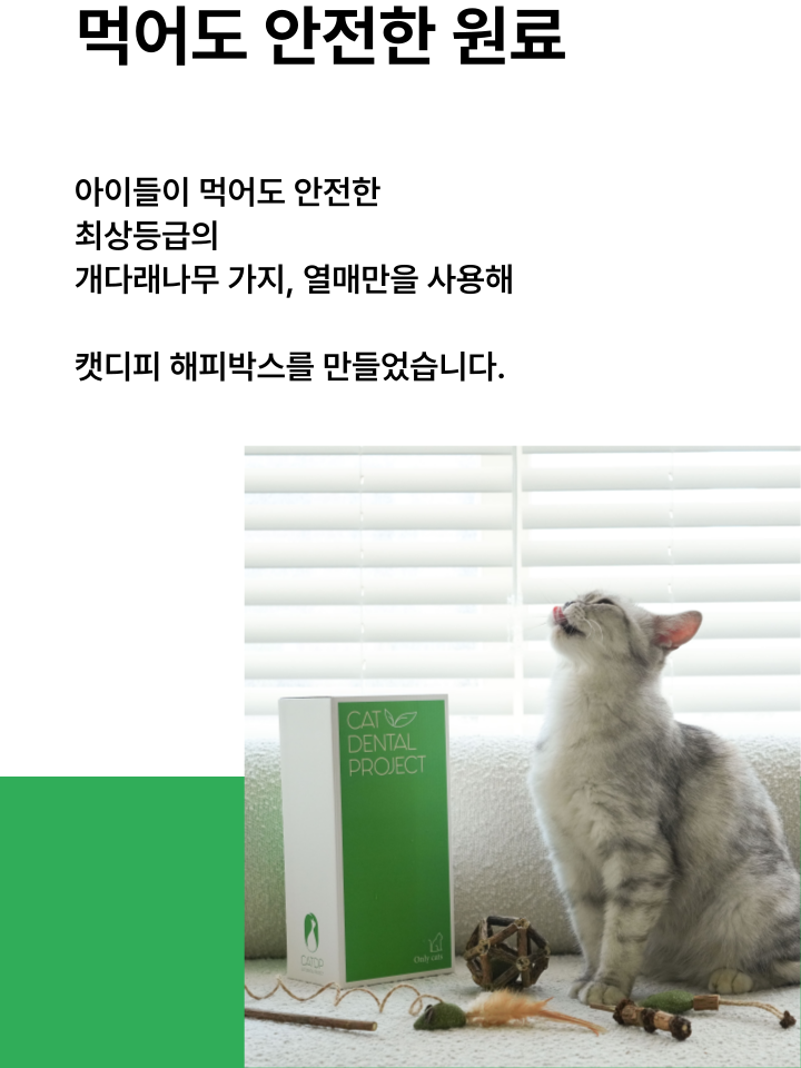 [무료배송] 캣디피 캣닢 마따따비 5종세트 해피박스 34번째